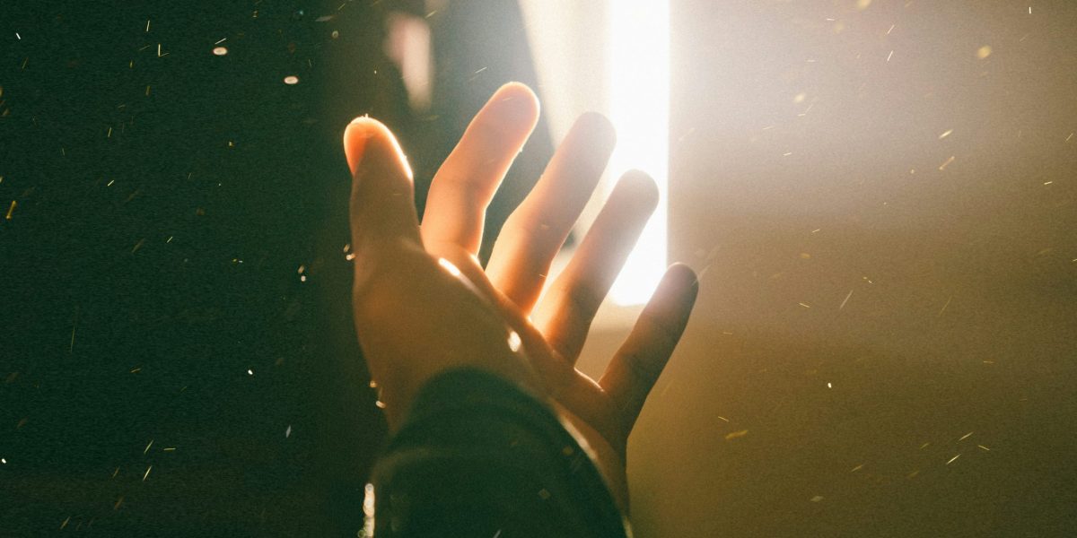 dyu-ha-nGo-UVGKAxI-unsplash (1)