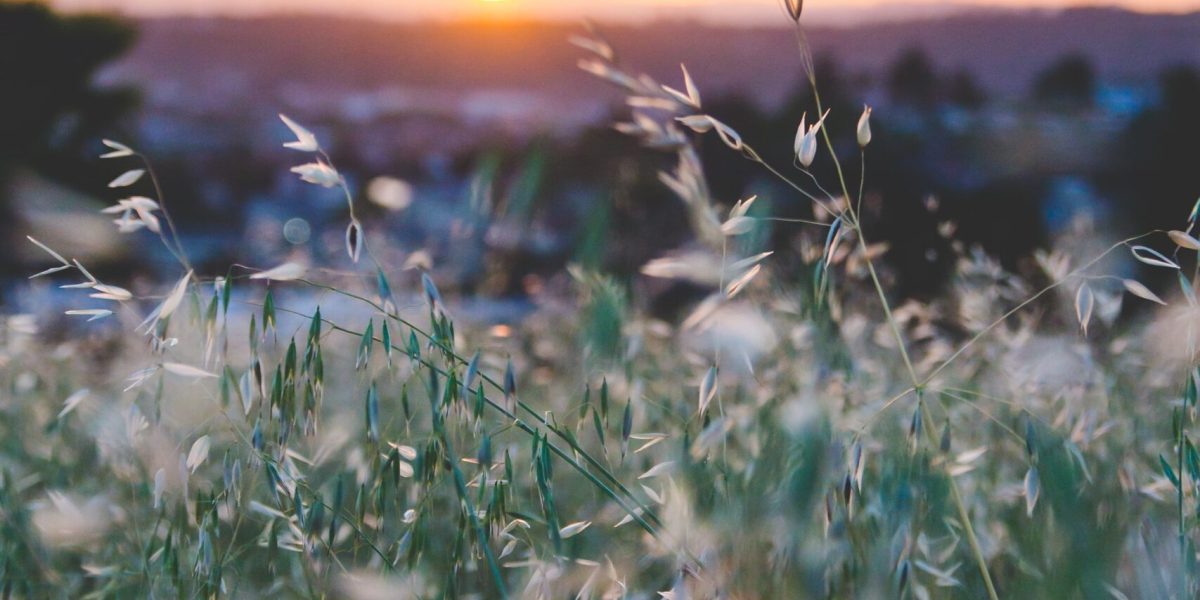 sapan-patel-i9Q9bc-WgfE-unsplash